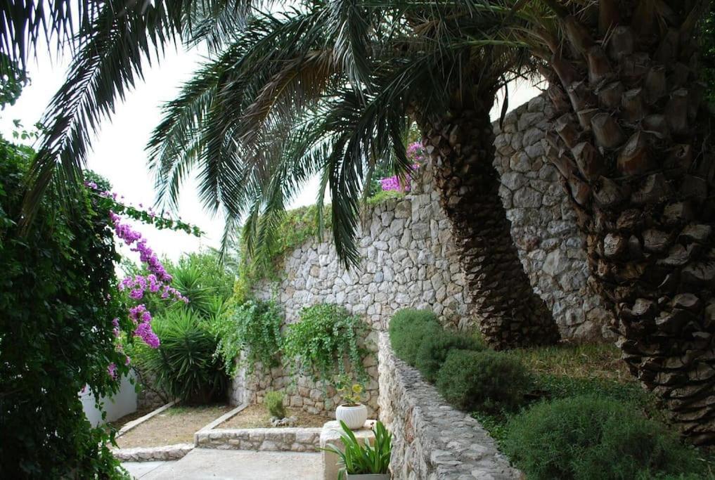 Seaview Apt. With Private Terrace Apartment *