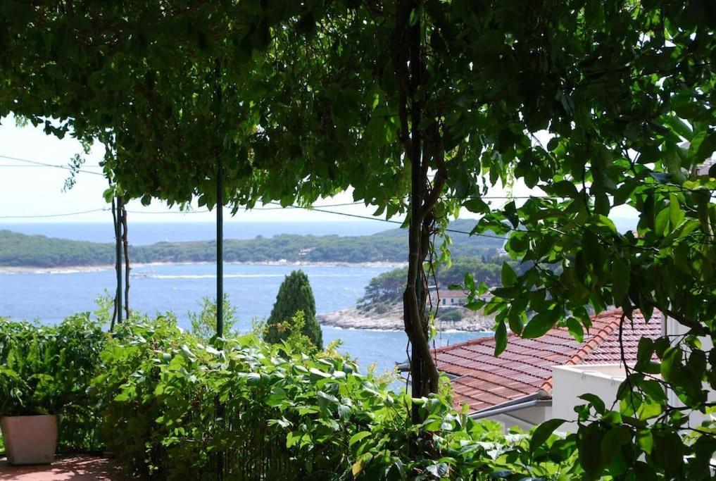 Apartment Seaview Apt. With Private Terrace